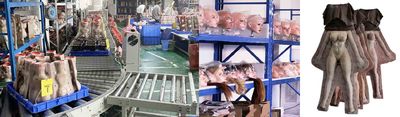 Shenzhen Marcy Healthy Industry Co.,Ltd chaîne de production de fabricant