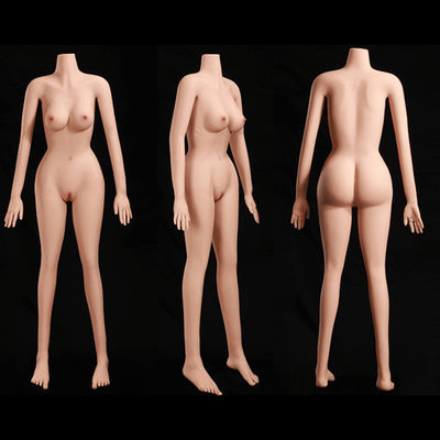 Corps de poupée sexuelle personnalisable 158cm Hauteur Corps mince Forme et petits seins Peau souple élastique-MARCY